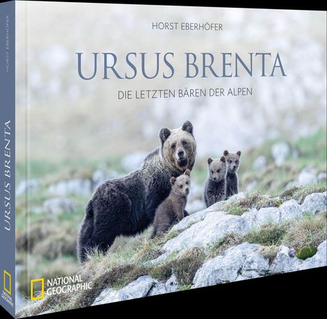 Horst Eberhöfer: Ursus Brenta - Die Rückkehr der Bären in die Alpen, Buch