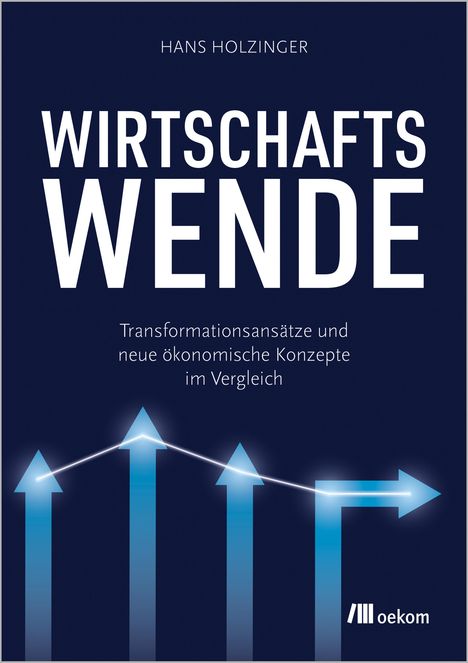 Hans Holzinger: Wirtschaftswende, Buch