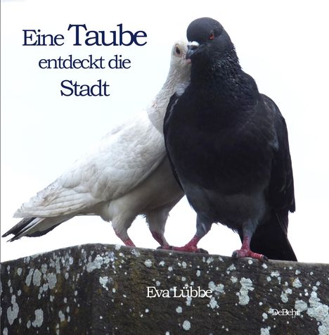 Eva Lübbe: Eine Taube entdeckt die Stadt, Buch