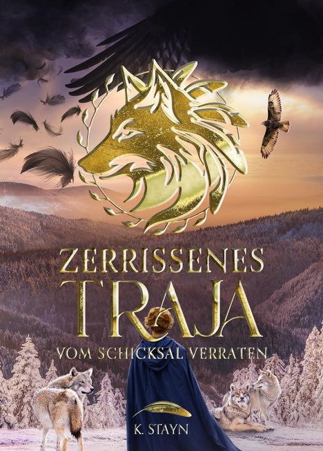 K. Stayn: Zerrissenes Traja, Buch