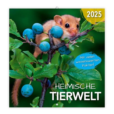 Trötsch Broschürenkalender Heimische Tierwelt 2025, Kalender