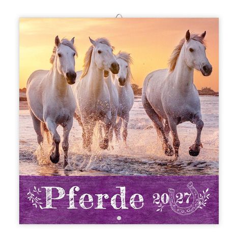 Text: "Pferde 2027". Fünf weiße Pferde galoppieren durch flaches Gewässer bei Sonnenuntergang.