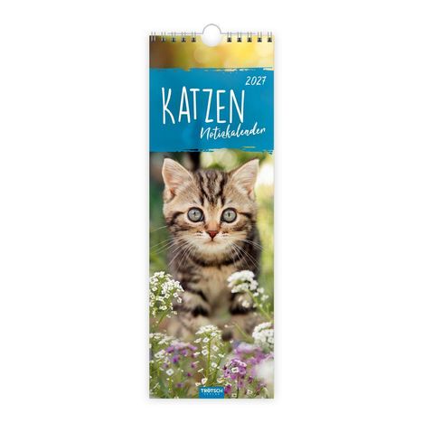 "KATZEN Notizkalender 2024." Titel auf hellblauem Hintergrund, darunter Bild von niedlichem Kätzchen zwischen Blumen.