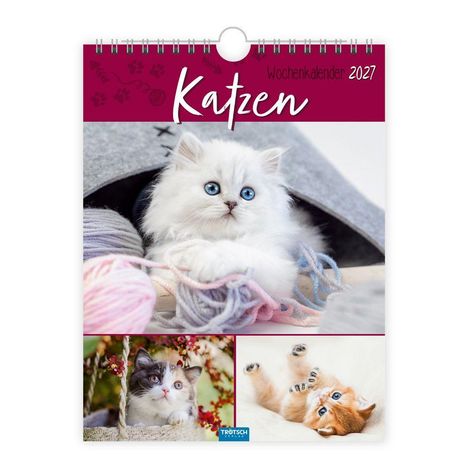 "Katzen Wochenkalender 2027." Drei Kätzchen: eins mit blauem Garn, ein weiß-graues im Korb, ein orangefarbenes auf dem Rücken.