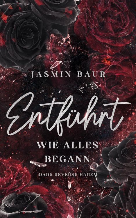 Jasmin Baur: Entführt, Buch