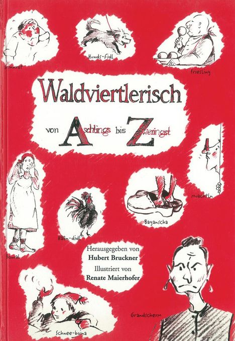 Hubert Bruckner: Waldviertlerisch von Aschlings bis Zweringst, Buch