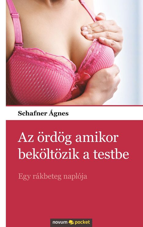 Schafner Ágnes: Az ördög amikor beköltözik a testbe, Buch