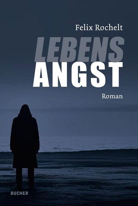 Text: Felix Rochelt, Lebensangst, Roman. Silhouette einer Person am Strand bei Dämmerung.