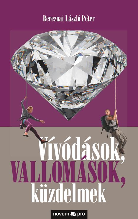 Bereznai László Péter: Vívódások, vallomások, küzdelmek, Buch