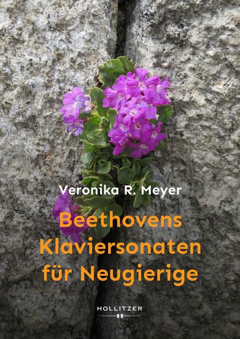 "Beethovens Klaviersonaten für Neugierige" von Veronika R. Meyer. Lila Blumen wachsen in einer Felsritze.