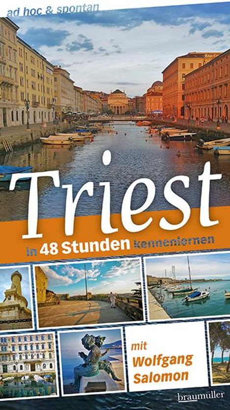 Wolfgang Salomon: Triest ad hoc &amp; spontan, Buch