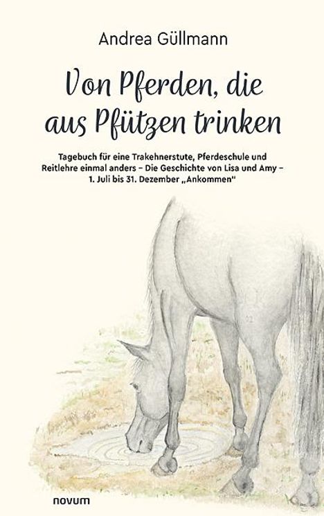 Andrea Güllmann: Von Pferden, die aus Pfützen trinken, Buch