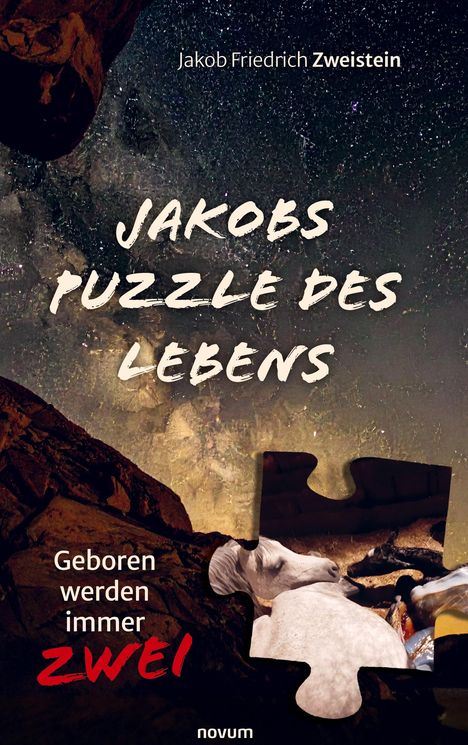 "Jakob Friedrich Zweistein, JAKOBS PUZZLE DES LEBENS, Geboren werden immer zwei." Oben ein Nachthimmel, unten Puzzle.