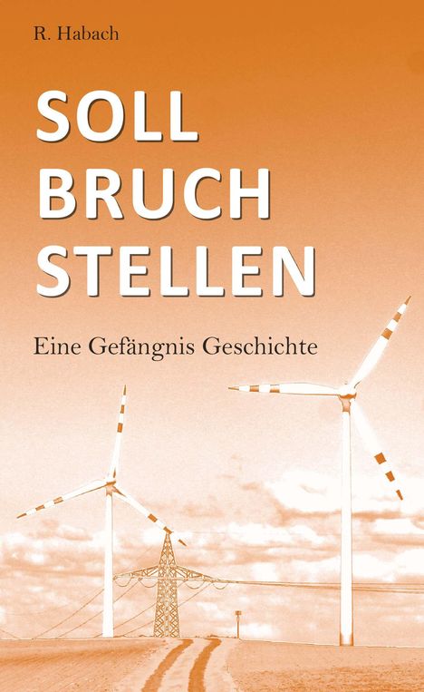 R. Habach: Sollbruchstellen, Buch