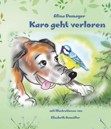Alina Domayer: Karo geht verloren, Buch