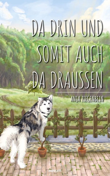 Anja Ziegenbein: Da drin und somit auch da draußen, Buch