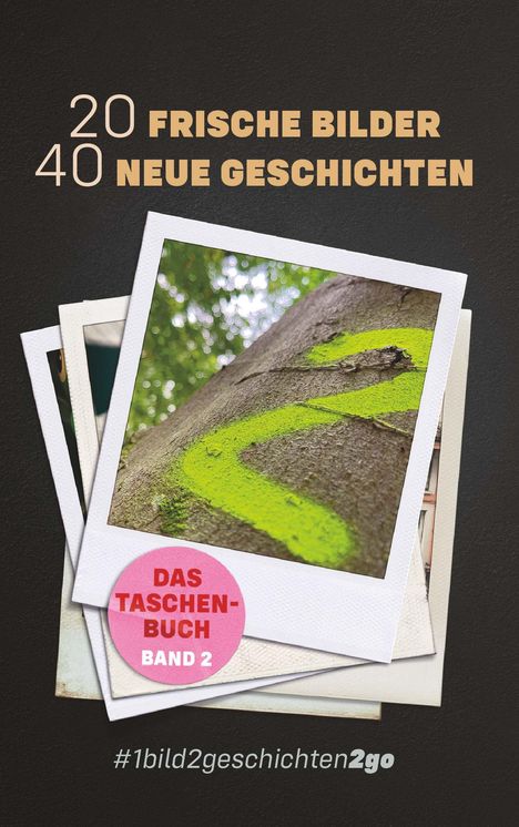 Ella Stein: Stein, E: 20 Frische Bilder 40 Neue Geschichten, Buch