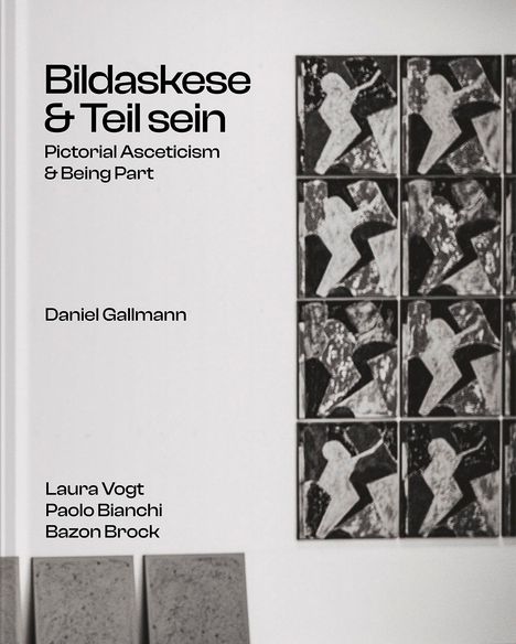 Paolo Bianchi: Daniel Gallmann, Buch