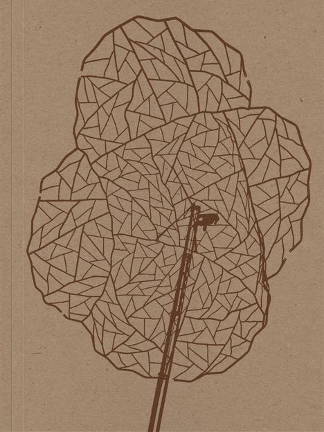 Alois Schild: Alois Schild, Buch