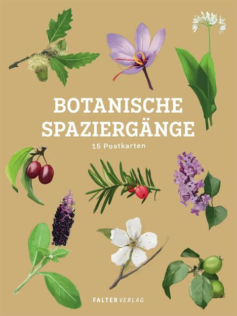Botanische Spaziergänge - Postkartenbuch, Buch