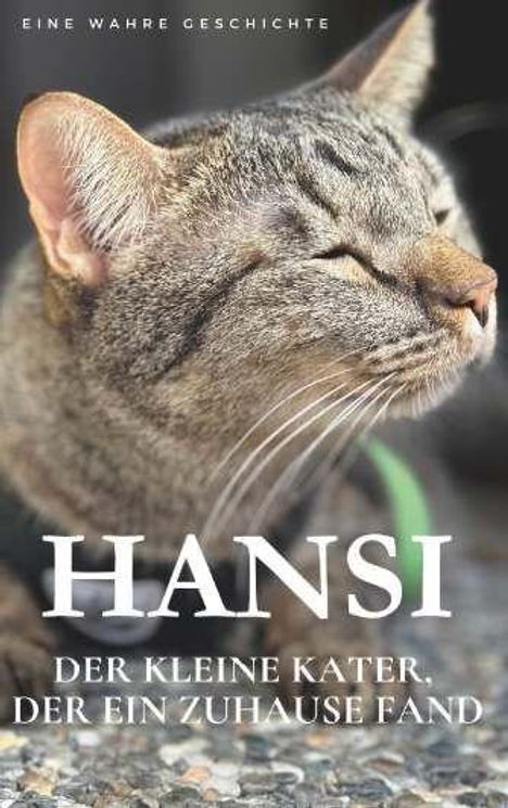 Thomas Fehr: Hansi. Der kleine Kater, der ein Zuhause fand., Buch