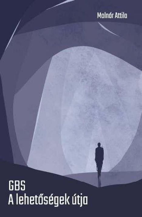 "GBS: A lehetőségek útja" von Molnár Attila. Eine Figur steht in einer abstrakten, schattigen Landschaft.