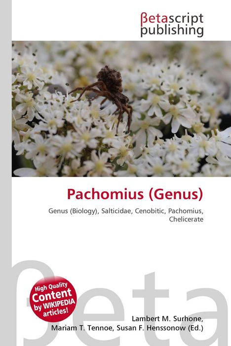 Titel: Pachomius (Genus). Rote Schrift. Spinne auf weißen Blüten. Rotes Logo: "High Quality Content by WIKIPEDIA articles!".