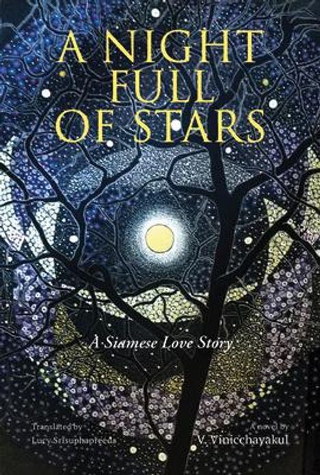 V. Vinicchayakul: A Night Full of Stars, Buch