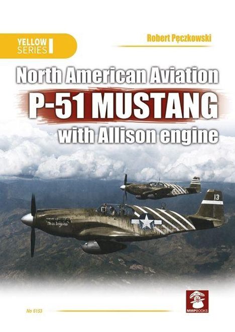 „North American Aviation P-51 Mustang with Allison engine“. Zwei Flugzeuge fliegen über eine Berglandschaft.