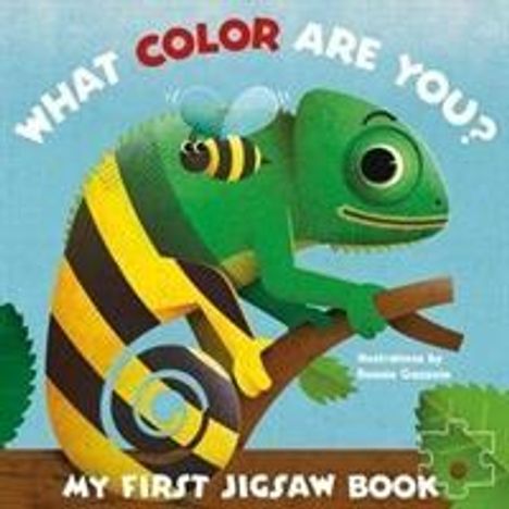 My First Jigsaw Book: What Color Are You?, Buch