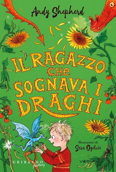 Andy Shepherd: Il ragazzo che sognava i draghi, Buch