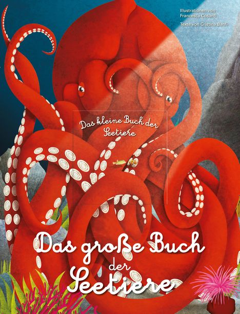 Cristina Banfi: Das große Buch der Seetiere. Das kleine Buch der Seetiere, Buch