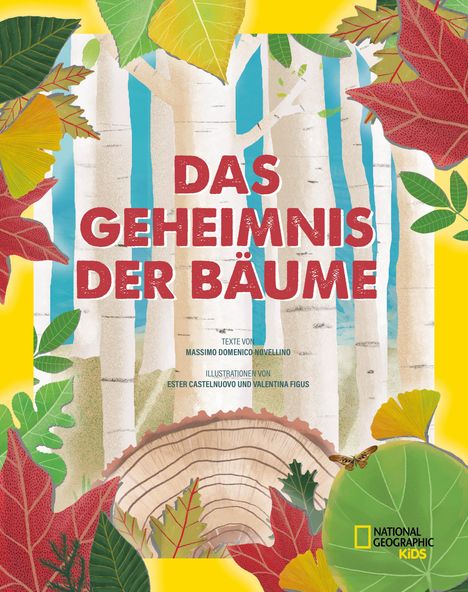 Massimo Domenico Novellino: Das Geheimnis der Bäume. Ein Naturbilderbuch, Buch