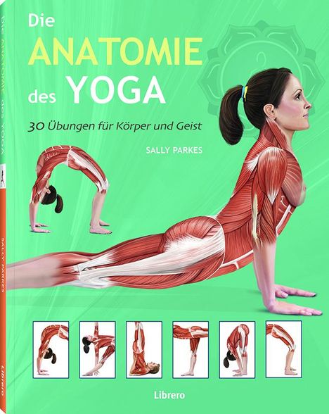 Sally Parkes: Die Anatomie des Yoga, Buch