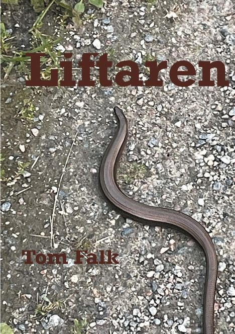 Tom Falk: Liftaren, Buch