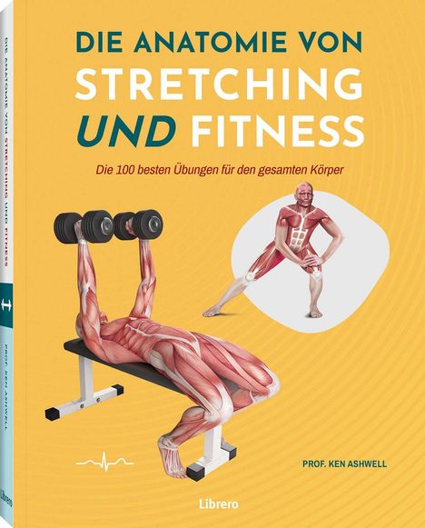 Titel: "Die Anatomie von Stretching und Fitness", Untertitel: "Die 100 besten Übungen für den gesamten Körper". Illustrationen von muskulösen Menschen beim Training.