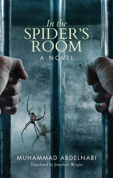 Muhammad Abdelnabi: In the Spider's Room, Buch
