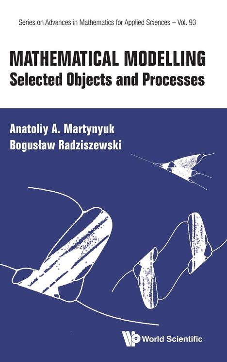 Boguslaw Radziszew Anatoliy A Martynyuk: Mathematical Modelling, Buch