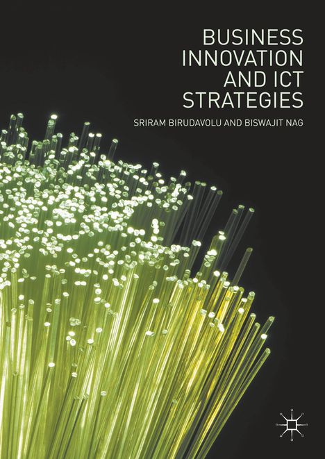 Sriram Birudavolu: Business Innovation and ICT Strategies, Buch