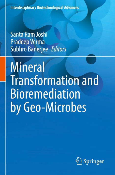 Blauer Hintergrund mit organischen Formen. Text: "Mineral Transformation and Bioremediation by Geo-Microbes". Springer-Logo unten.