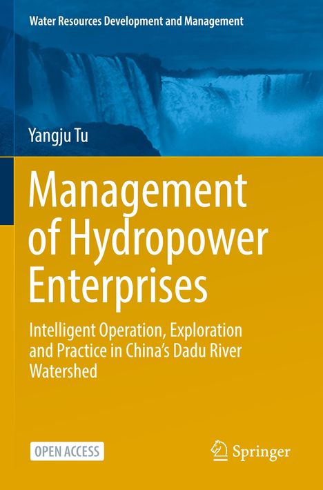Titel: "Management of Hydropower Enterprises". Oben ein Wasserfall, unten gelber Hintergrund mit einem Springer-Logo.