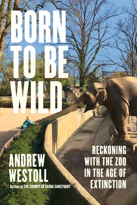 „BORN TO BE WILD“ von Andrew Westoll. Ein Elefant berührt mit seinem Rüssel ein Kind über eine niedrige Mauer.