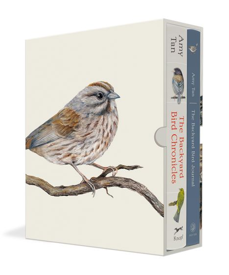 „Amy Tan, The Backyard Bird Chronicles“; Illustration: Spatz auf Ast, stilvoll.