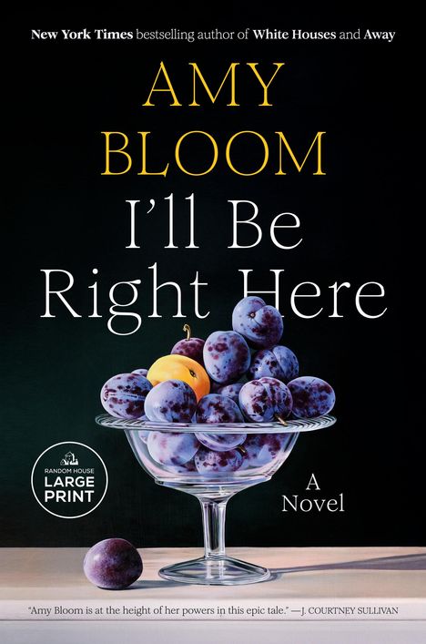 Amy Bloom: I'll Be Right Here, Buch