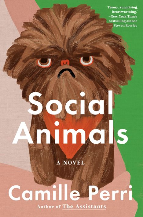 „Social Animals“ von Camille Perri. Illustration eines mürrischen Hundes mit braunem Fell vor grünem Hintergrund.