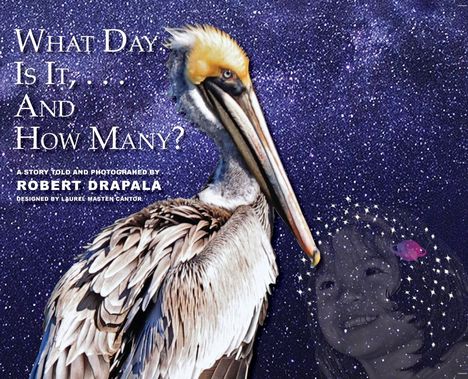 "What day is it, and how many?" Ein Pelikan vor einem sternenklaren Himmel, daneben ein lachendes Kind mit Sternenmotiv.