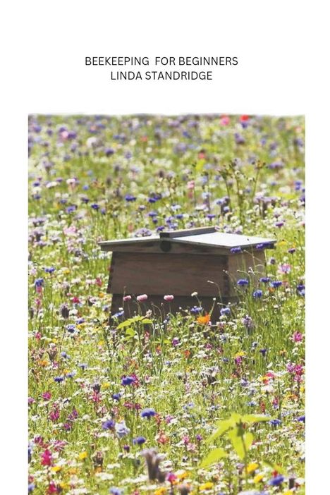 Linda Standridge: Beekeeping for Beginners, Buch