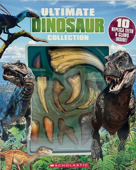 ULTIMATE DINOSAUR COLLECTION. 10 replica teeth & claws. Verschiedene Dinosaurierzähne und -klauen, umgeben von Dinosauriern.