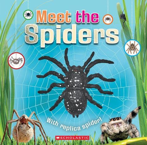 "Meet the Spiders" steht in großen Buchstaben über einer Spinne auf einem Netz, umgeben von weiteren Spinnen und Gras.