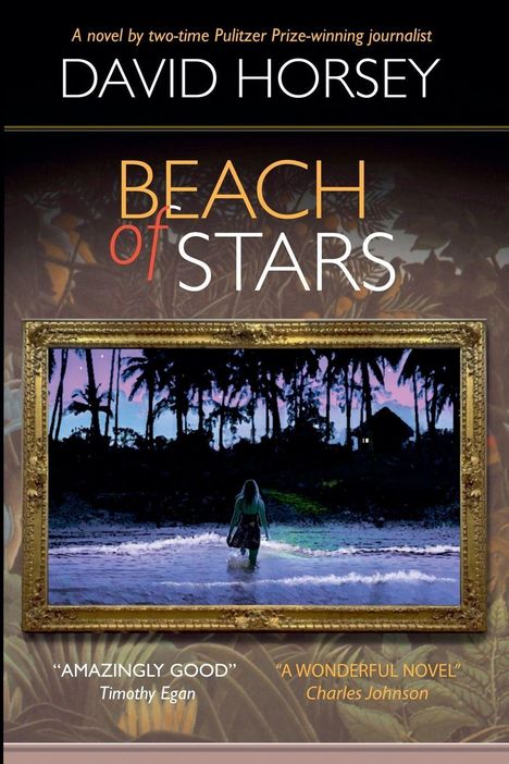 "BEACH of STARS" von David Horsey. Person geht am Strand, Palmen im Hintergrund, Rahmen um die Szene.